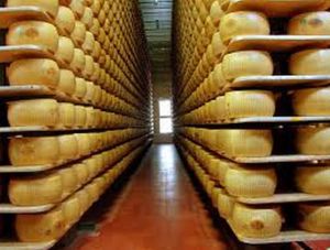 The Consorzio del Formaggio Parmigiano Reggiano is the Consortium for the Protection of authentic Parmesan Cheese.